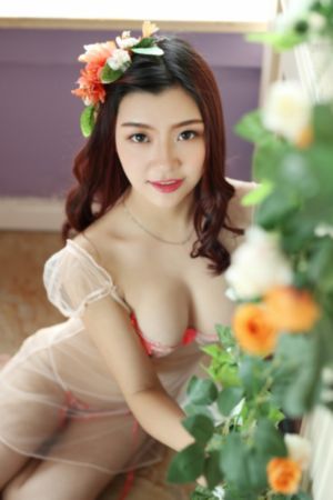 91视频app黄色_DVD全集免费播放